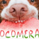 cocomerata