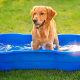 vasche per cani