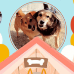 festa fidoamico